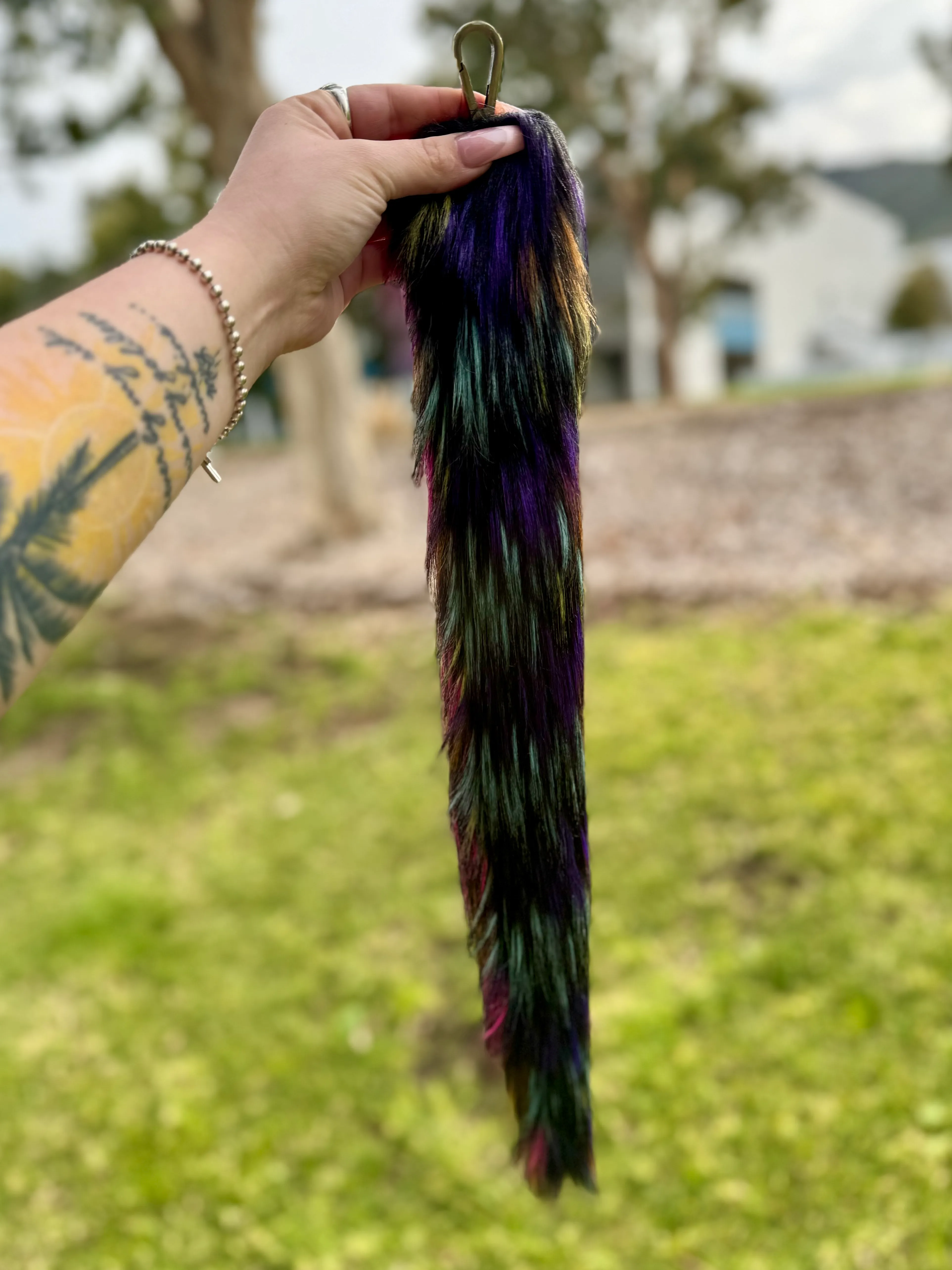 Black Rainbow Tail