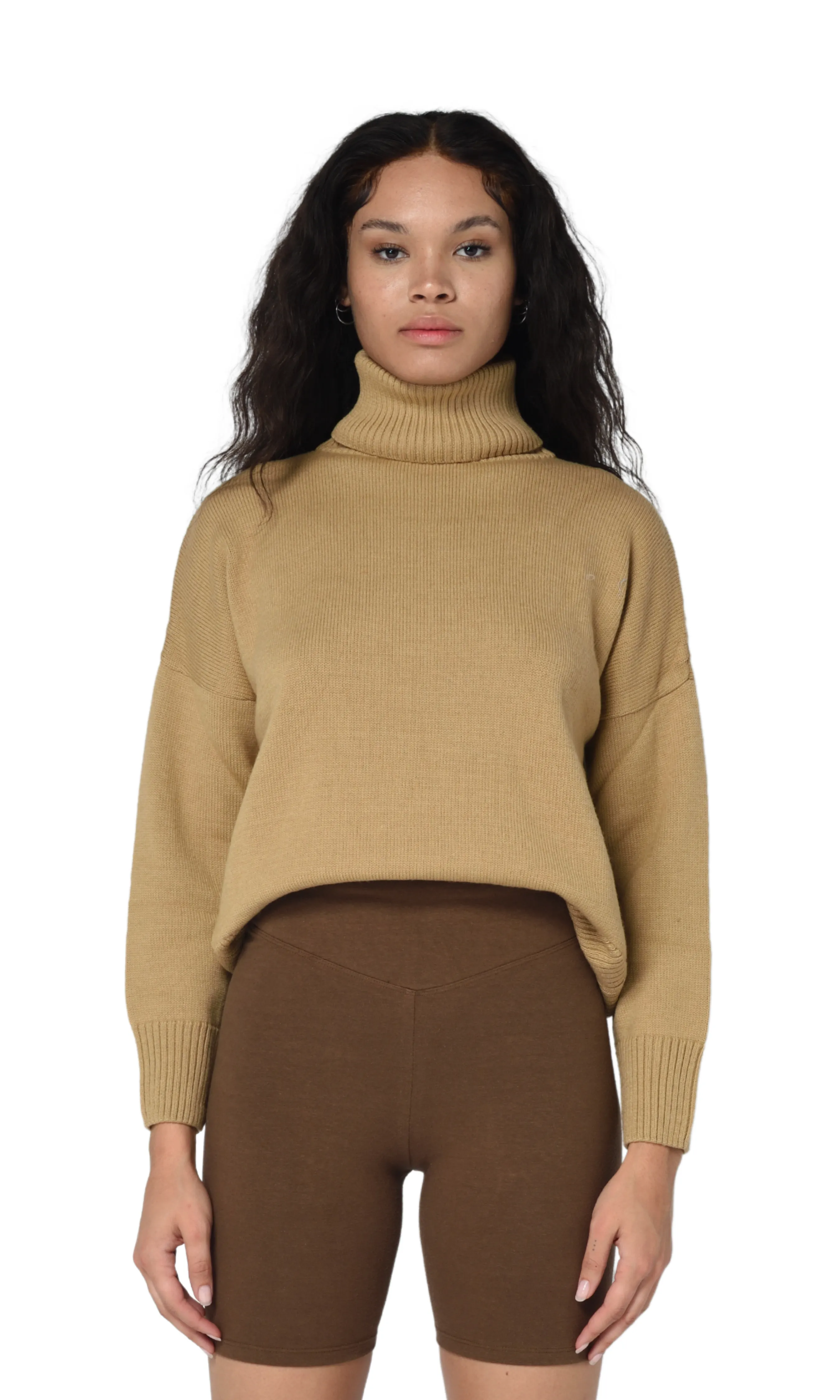 CAMEL HEAVY ROLL NECK