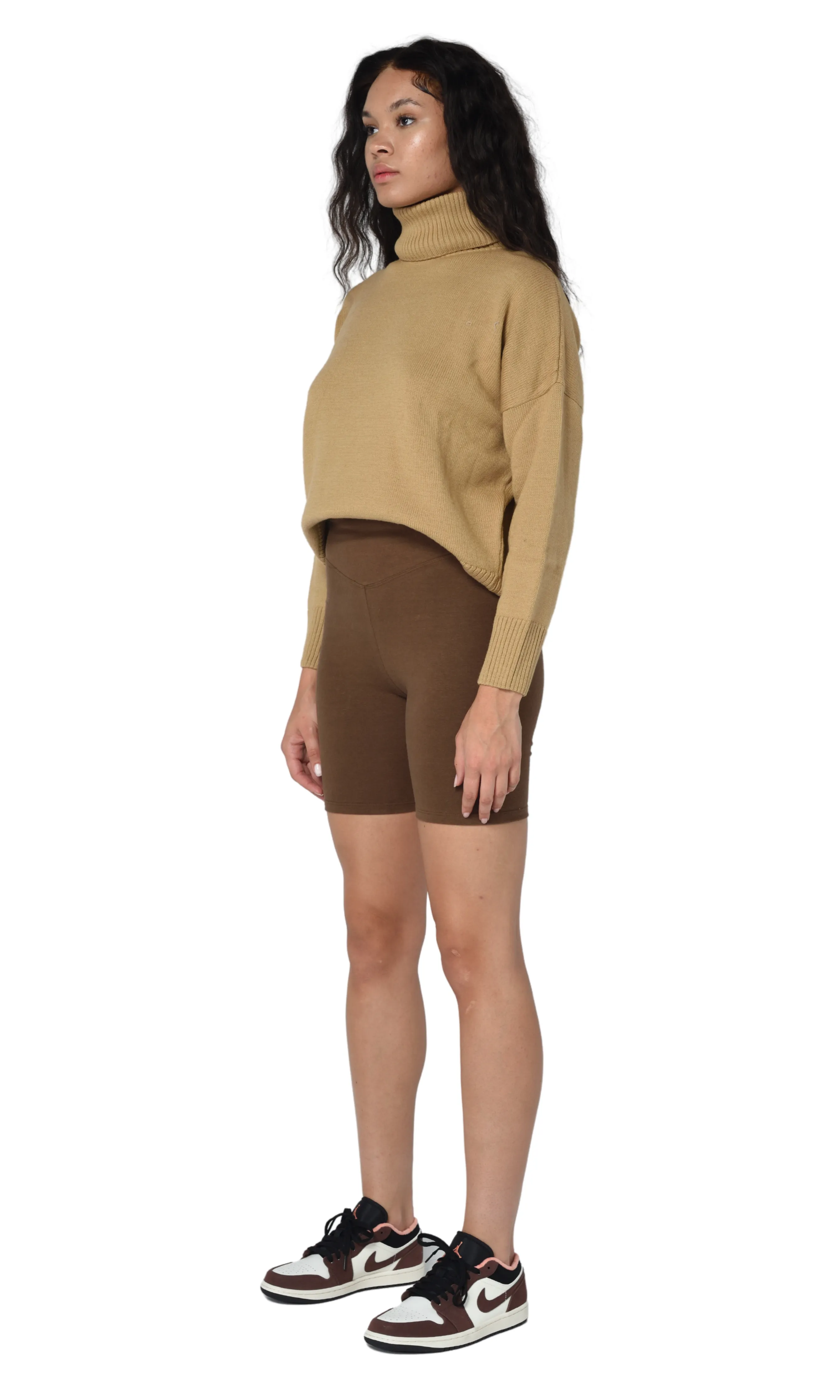 CAMEL HEAVY ROLL NECK